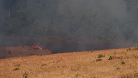 El-Humo-Se-Eleva-Mientras-Una-Gran-Mancha-En-El-Fondo-Ya-Está-Ardiendo,-Quema-Controlada-O-Prescrita,-Tailandia