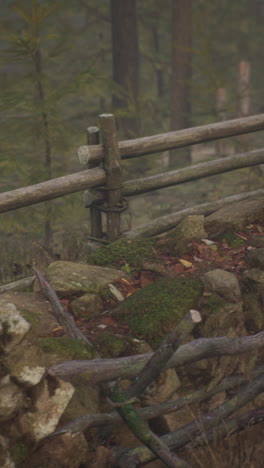 foggy forest path with wooden fence and stone wall