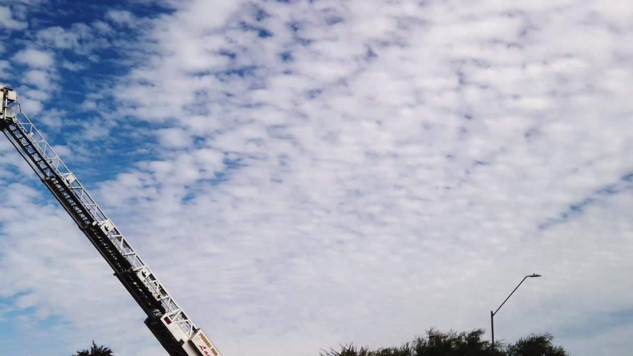 구름이 가득한 하늘에서 전경에 있는 나무의 녹색 잎으로 둘러싸인 미국 국기로 팬