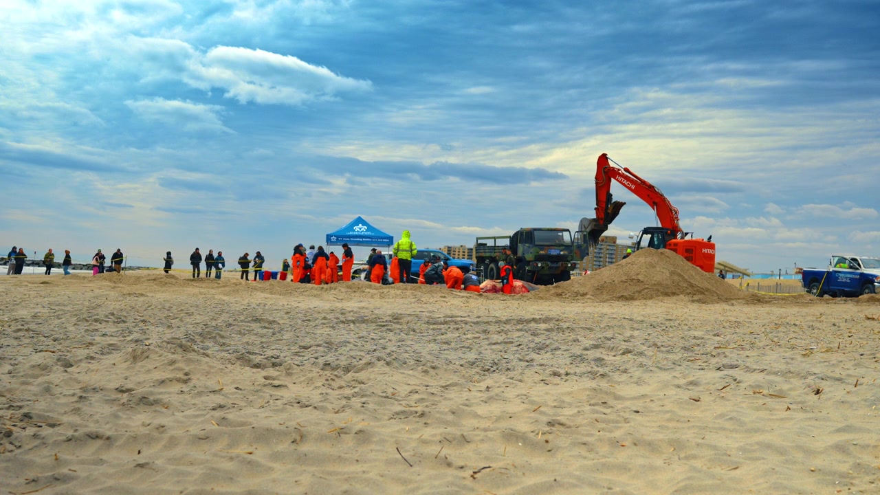 New York, USA, 1 maggio 2026: Carcassa di balena morta su una spiaggia sabbiosa a New York durante un'operazione di sepoltura. Una vista aerea di una grande carcassa di balena morta su una costa sabbiosa a New York in preparazione per la sepoltura.