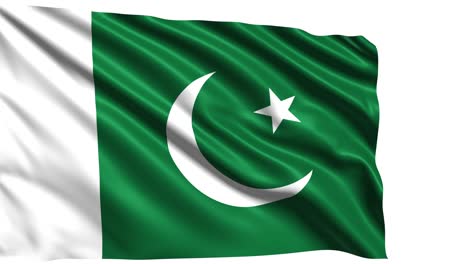 bandera de pakistán con estructura de tela en el viento (canal alfa, en bucle)