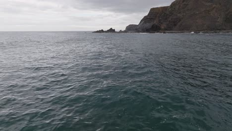 Delfines-A-Lo-Lejos-En-La-Costa-De-Portugal.