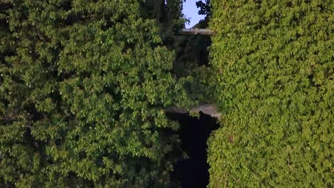 Aerial-rise-scans-Menlo-Castle-ruins,-door-to-top,-Galway