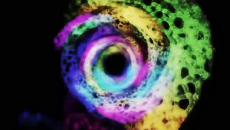 a vibrant swirl of colors and patterns: the transformation of light and form in an abstract visual journey