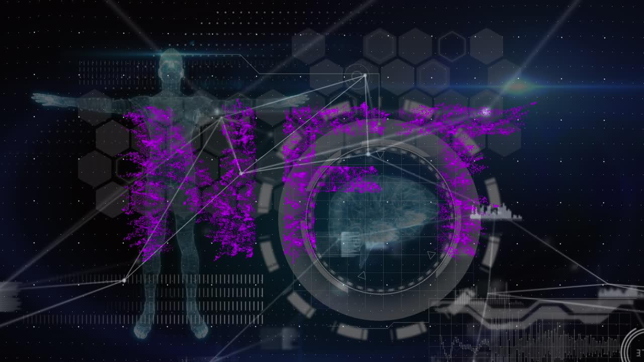 nft의 애니메이션: 인간 모델, 뇌 및 연결, 해군 배경