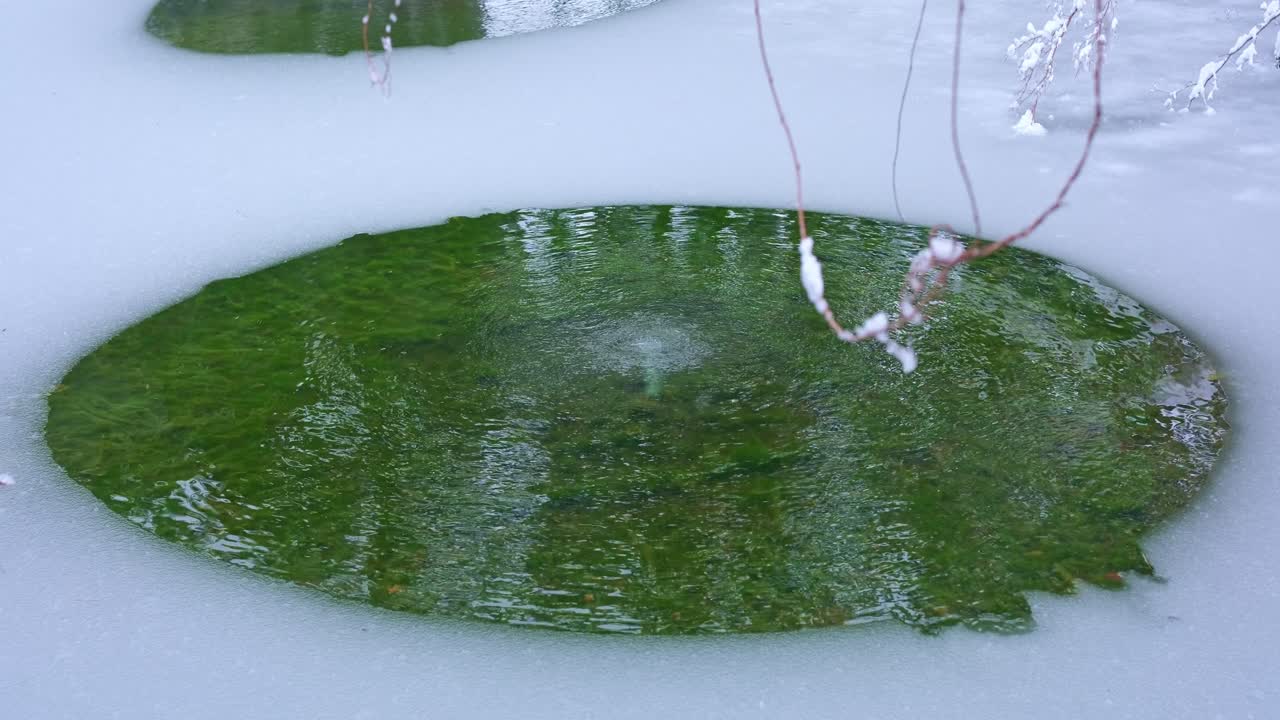 Frozen Winter Lake with Circular Open Water, Natural Cold Climate Scene