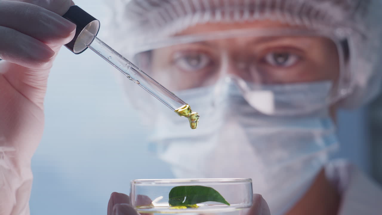 Laboratory Researcher Pouring Oil on Leaf with Dropper during Experiment