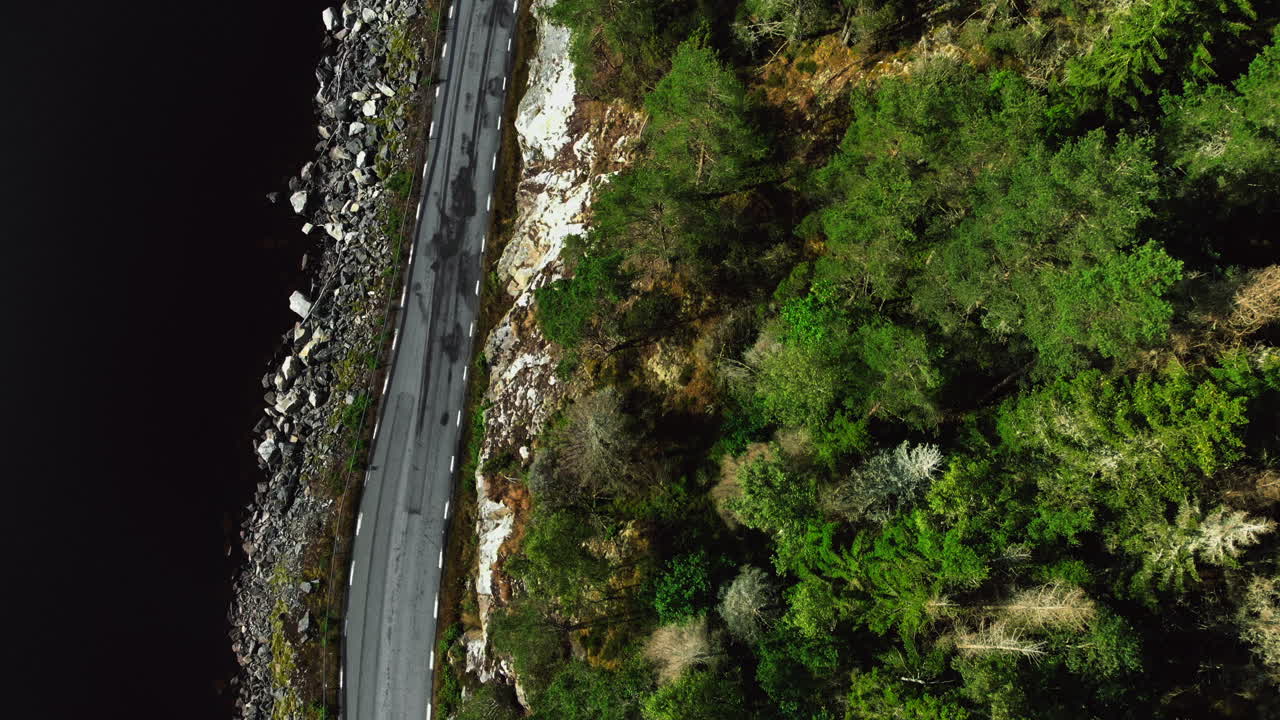vista aérea de las copas de los árboles verdes al lado de la estrecha carretera costera