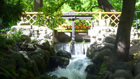 cascada en el parque