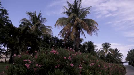 Ein-Gartenweg-In-Einem-Resort-In-Mexiko