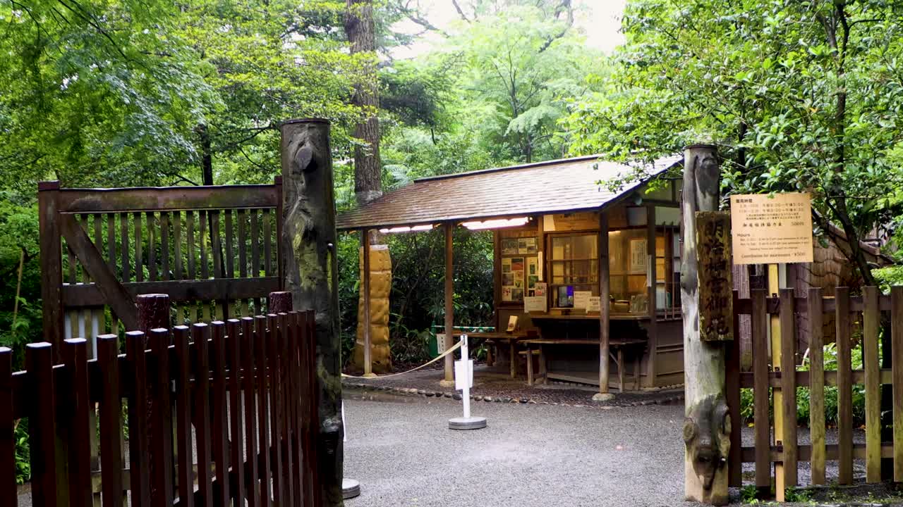 도쿄 최고의 전망