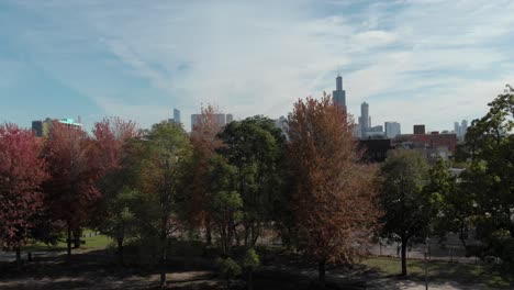 Breathtaking-aerial-reveal-of-Chicago-skyline-over-trees-in-a-beautiful-weather