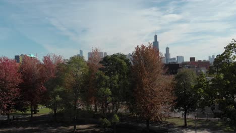 impresionante revelación aérea del horizonte de chicago sobre árboles en un hermoso clima
