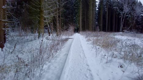 walking on a winter wonderland: a journey through a forest covered in snow and across a narrow footbridge, experiencing the tranquil beauty and majestic scenery of winter's magic