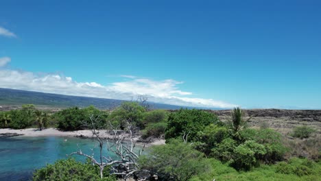 secret beach trees hawaii blue water