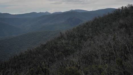 medium view from black perry lookout, kosciuszko national park, talbingo, new south wales, australia