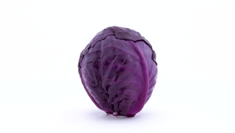 one whole mini purple cabbage is rotating on the turntable isolated on the white background. close-up. macro.