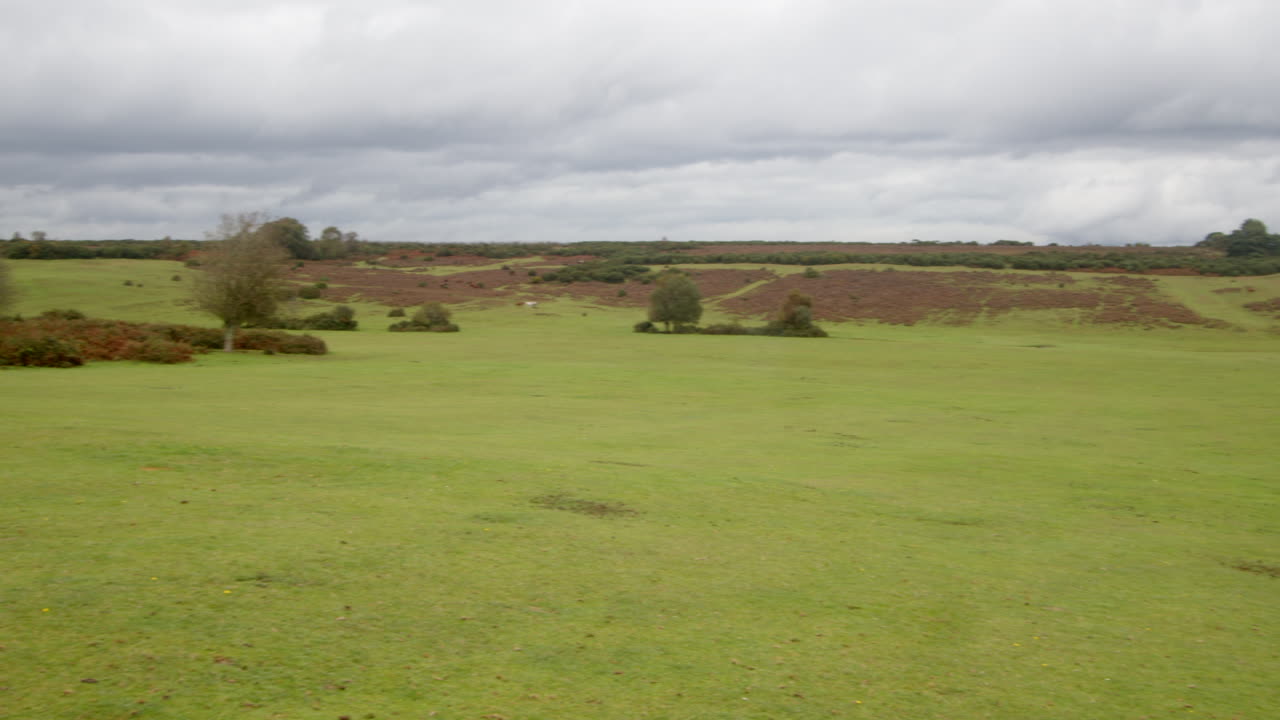 새로운 숲의 말발 바닥과 롱슬레이드 히스 (longslade heath) 의 추가적인 넓은 닝