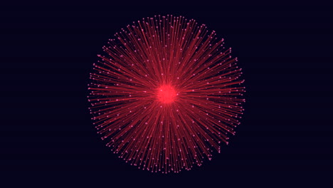 vibrant firework burst in night sky