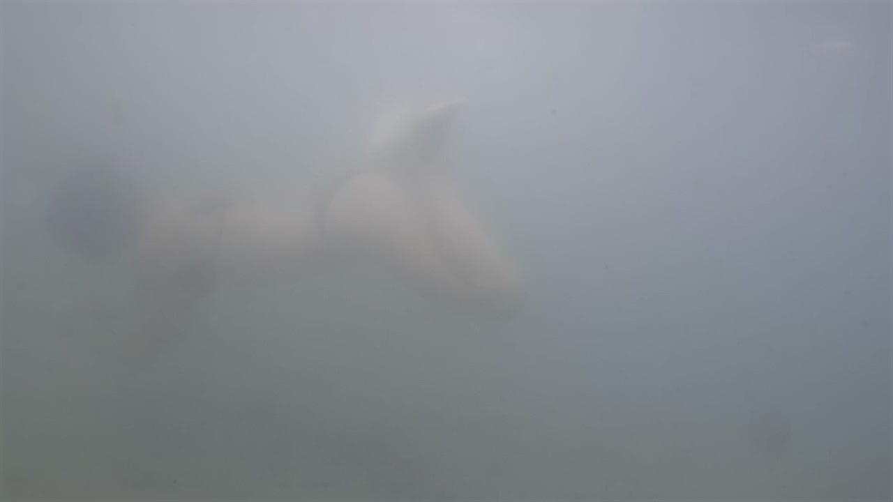 Abstract gray gradient background creating a minimalist, textured backdrop. Displaying smooth color transition and a soft, foggy feel