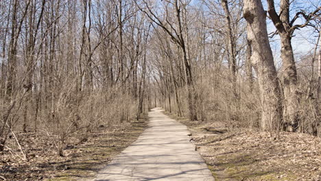 Betonweg-Durch-Bewaldeten-Park