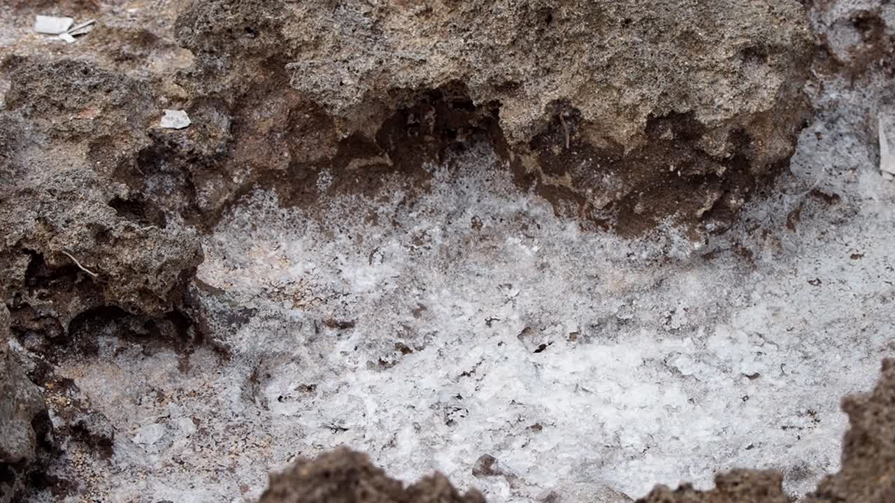 Sea salt formation close-up shot showing natural salt crystals in the soil