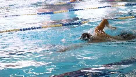 people swimming in a pool