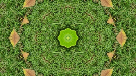 kaleidoscope
