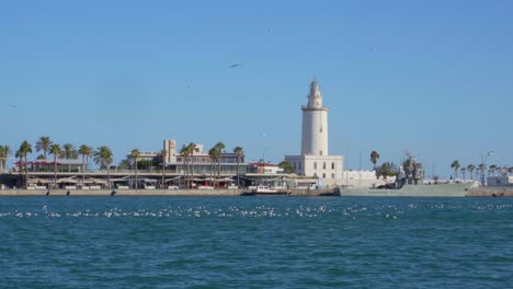 scenic view of a lighthouse on tropical shores with plam trees and seagulls gathering in the water in the foreground