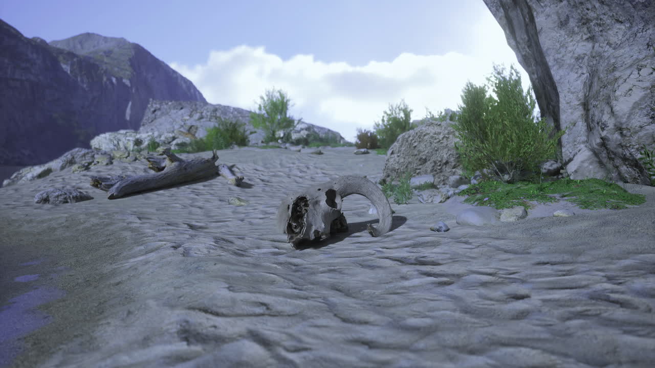 Skull resting on sandy ground near rocky terrain under bright sky