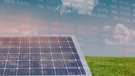 Animation-of-stock-market-data-processing-over-solar-panel-on-grass-against-blue-sky