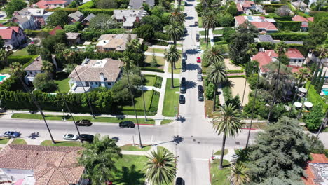 drone zooms out to reveal palm tree lined streets with cars driving, and mansions in west hollywood, california