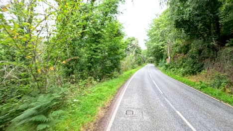 a vehicle travels a curving, tree-lined rural road under daylight in cromarty, scotland. the camera moves smoothly forward, capturing lush greenery and overcast natural lighting