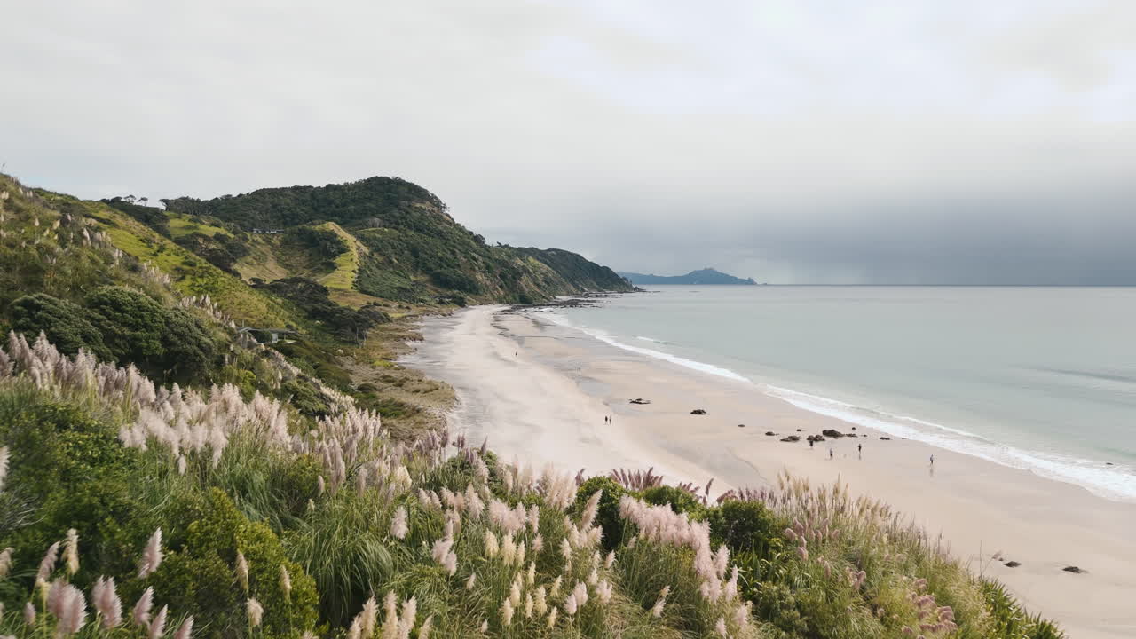 Beautiful New Zealand Beach Landscape