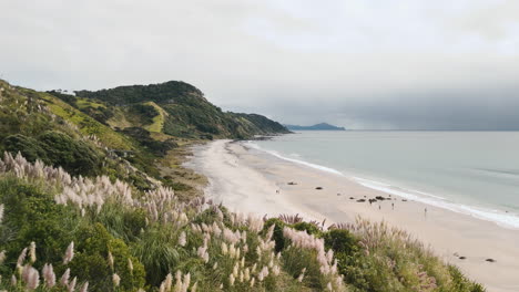 beautiful new zealand beach landscape