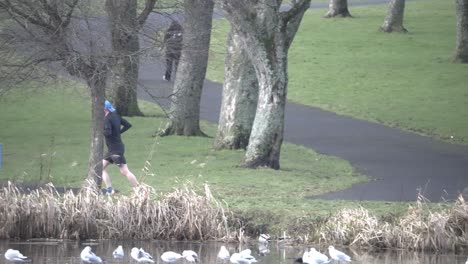 male jogger running, local park wildlife, exercising, slow motion scenery
