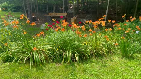 flores y asientos de troncos para relajarse en un día de verano de maine