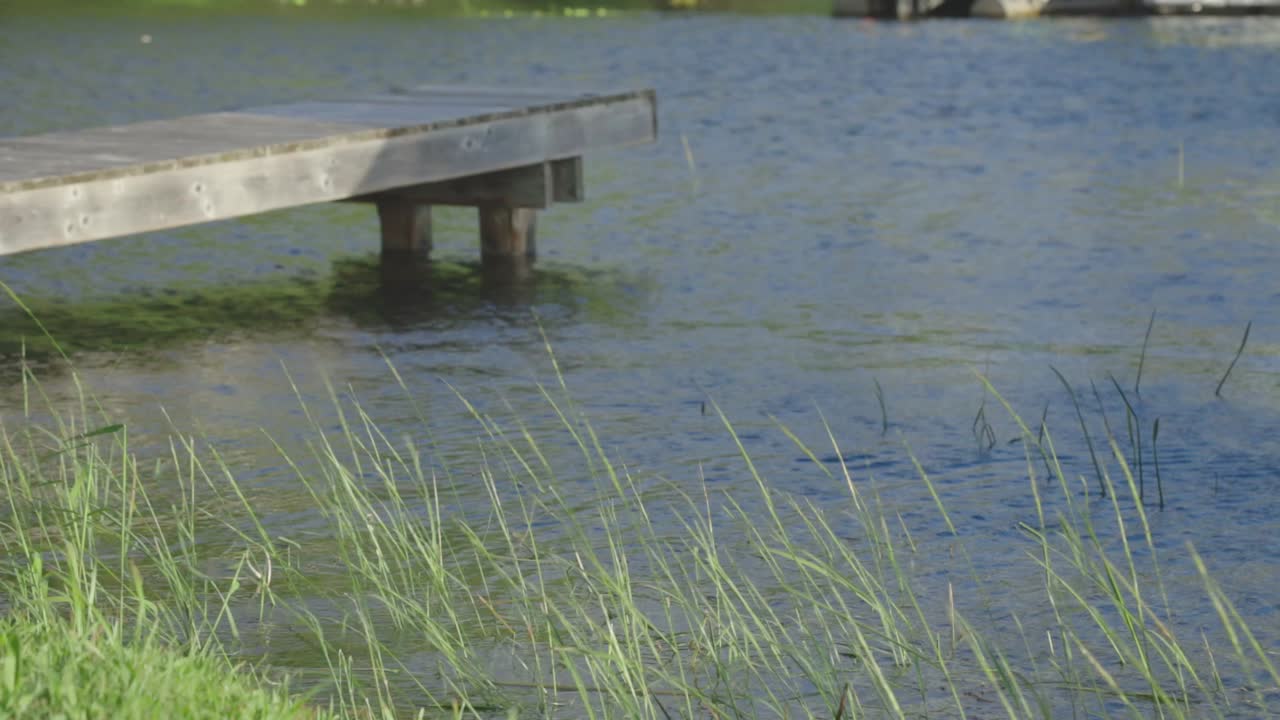 Wind Blowing On The Green Grass By The Lakeshore Near A Wooden Jetty With Lake Water Rippling Calmly On A Sunny Morning - close up