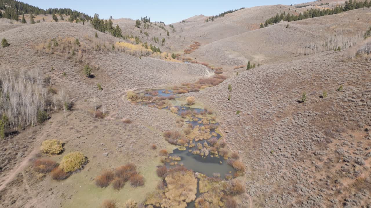 un río de montaña de idaho en un fresco día de otoño