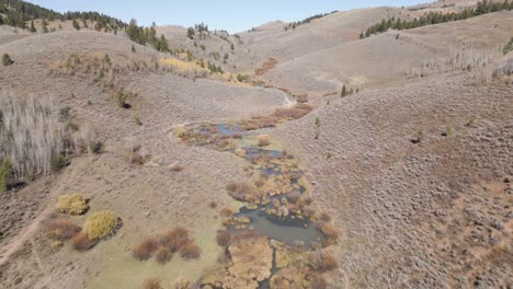 an idaho mountain river on a cool fall day