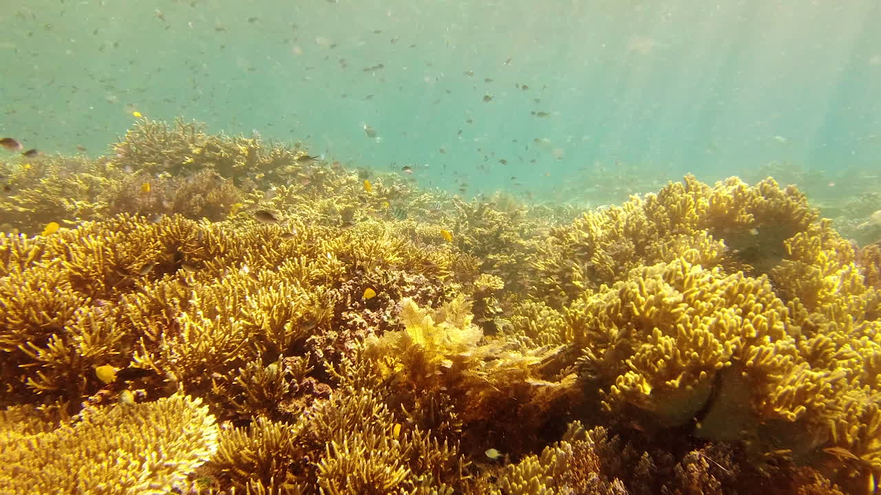 жить полной жизнью