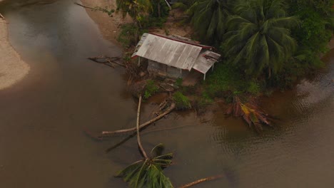 Revealing-aerial-of-an-old-house-by-the-river-bank-with-a-fallen-coconut-tree-in-the-foreground
