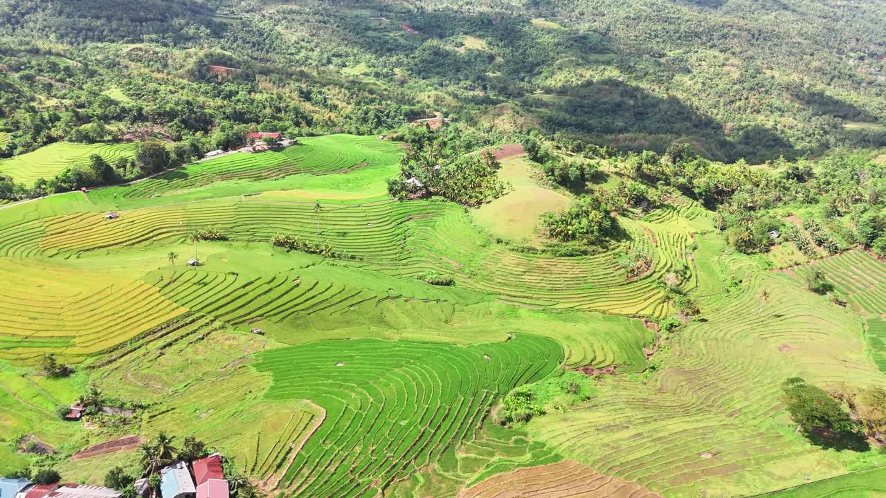 Drone captures vibrant Cadapdapan Rice Terraces in Bohol, Philippines, with layered green paddies, palm trees, distant homes, and tropical vegetation covering the surrounding rolling hills and slopes