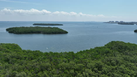 water and keys off the cost of florida following an egret