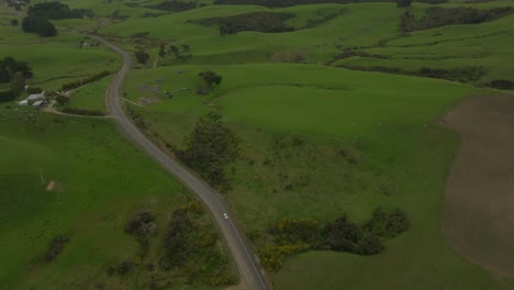 winding rural road through green grass fields of catlins on overcast day, aerial