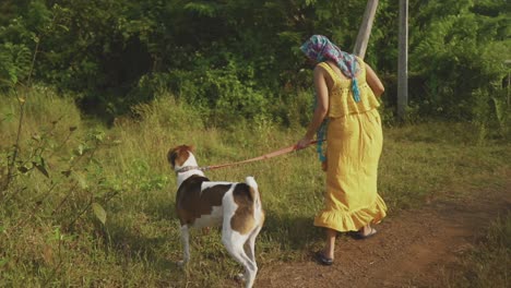 An-Indian-woman-is-dragging-their-dog-on-the-path-toward-her-home