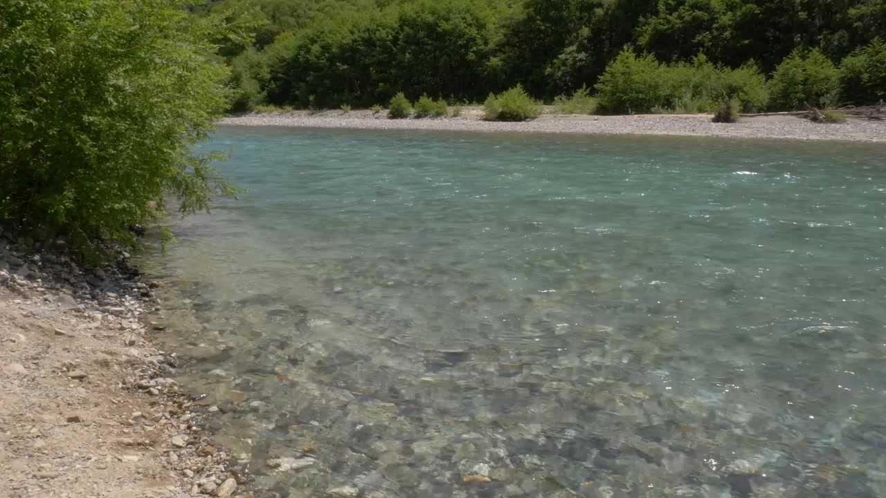 Acqua cristallina del fiume Azusa vicino alla fitta foresta a Kamikochi, Matsumoto, Giappone. - inquadratura statica ampia.