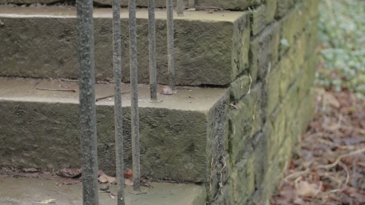 Old weathered stone steps with autumn leaves and black railings