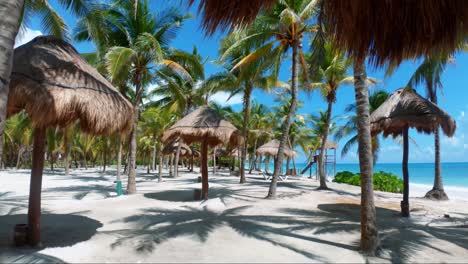 gorgeous tilting up shot of a tropical empty resort beach with white sand, palm trees, and turquoise water on the beautiful playa del carmen in riviera maya, mexico near cancun