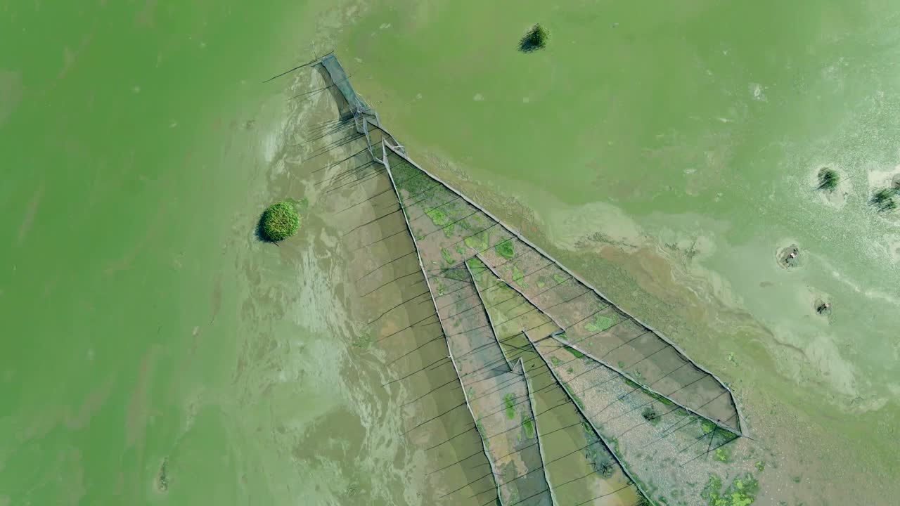 trampa para peces con punta de flecha utilizada en asia